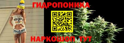 a pvp Свободный
