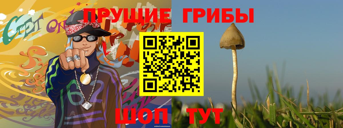 Алексин  Псилоцибиновые грибы Psilocybe  Галлюциногенные грибы Cubensis  Вход с VPN 